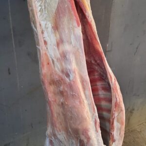 Kambing Carcase Hardwik